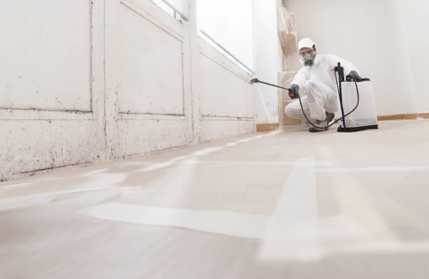 24/7 Emergency Mold Remediation experts in Shiloh, NC