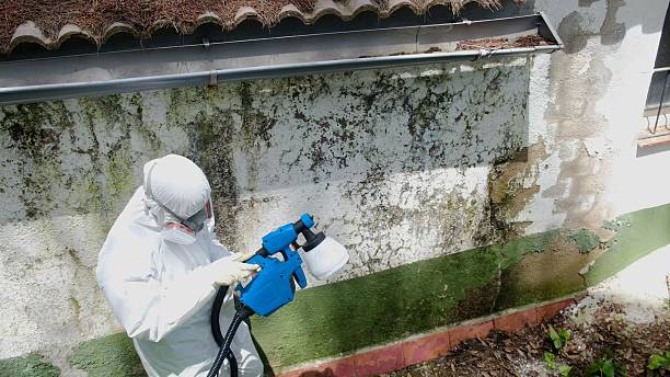Top rated local Mold Remediation specialists in Shiloh, NC